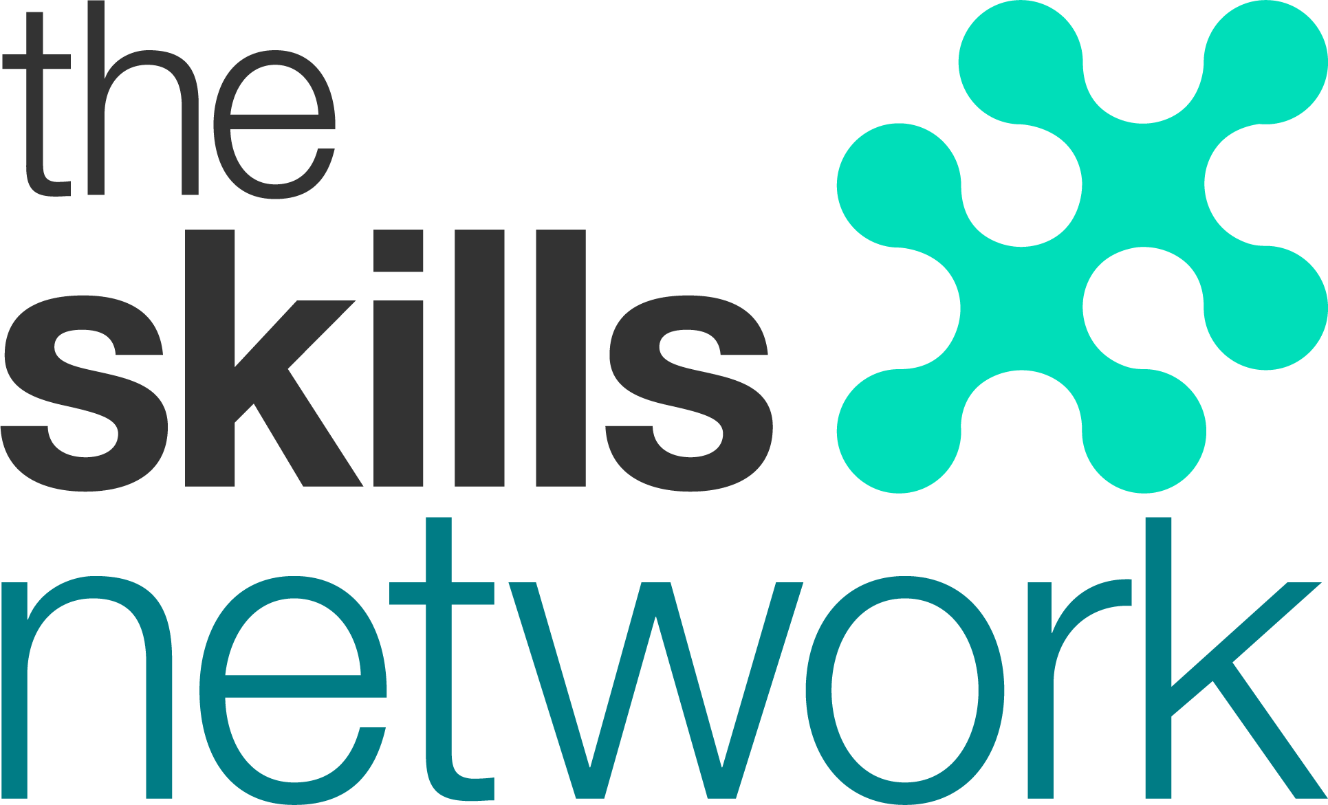 The Skills Network logo